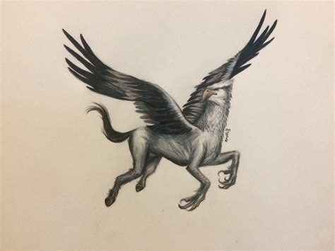 The Hippogriff Drawing Harry Potter Amino