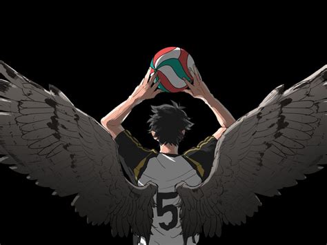 Akaashi Keiji Desktop Wallpapers Wallpaper Cave