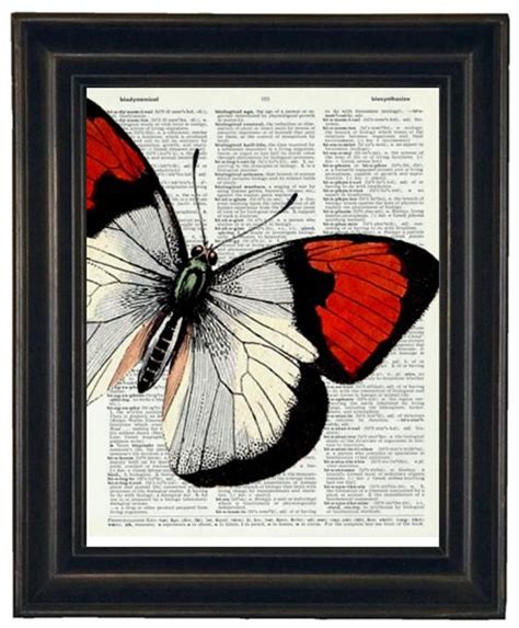 Butterfly Art Print Butterfly Dictionary Art Print Book Page Butterfly