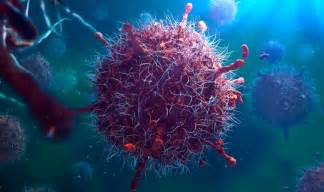 Cells/viruses vary in size mainly according to their function, components & requirements imposed by cell division/virus replication. Virus Structure | Definition | Classification