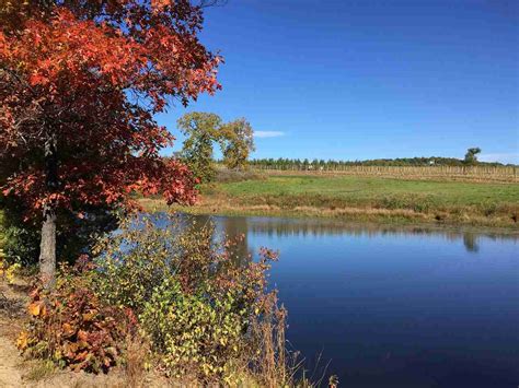 Landowners: Sometimes renovating a farm pond is the only way to ensure