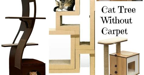 We can assume that yes so it might be worth to check the available cat trees that are shown on this site. Cool Cat Tree Plans: Best Cat Tree Without Carpet Ideas