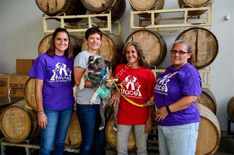 Face Vet Clinic Indianapolis