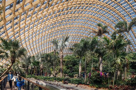 Taiyuan Botanic Garden By Delugan Meissl Associated Architects 谷德设计网
