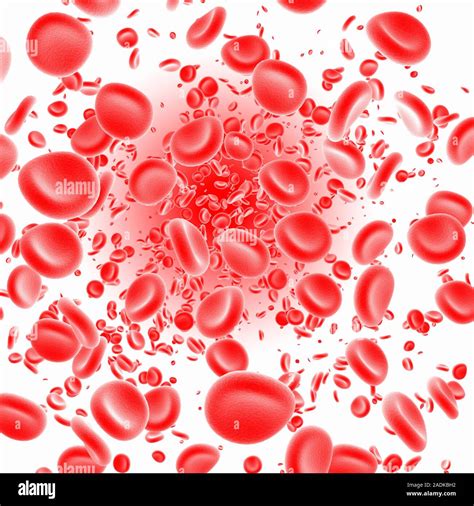 Red Blood Cells Computer Artwork Of Human Red Blood Cells