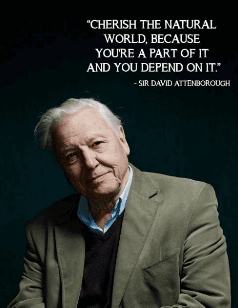 David attenborough quotations and captions including it seems to me that the natural world is the greatest source of excitement; 30 Days of Transformation - From 30 Incredible Mentors ...