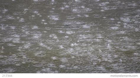 Rain Drops Fall Into Puddle Creating Water Ripples High Definition