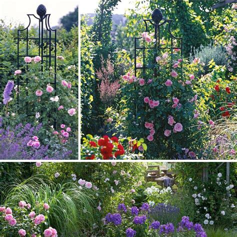 Our exclusive metal garden obelisks are made from galvanised steel which is powder coated for a long lasting, weatherproof finish. Garden obelisk for roses, clematis and other climbing ...