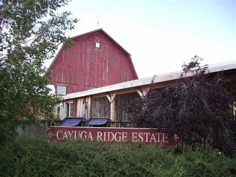 It is matted using acid free materials fitted to a standard size frame either 8x10 or 11x14 depending i'm using an arrangement of lotus/lily flowers on a large wall in my guest bedroom.this one will be in the center. Cayuga Ridge Estate Winery (Cayuga Lake) | Finger lakes ...