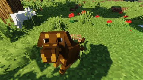 Maybe you would like to learn more about one of these? Better Dogs Resource Pack 1.16.4/1.15.2 - My Blog