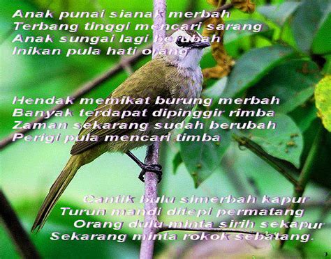 PANTUN MELAYU: June 2012