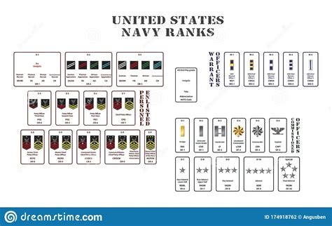United States Navy Ranks On White Background Stock Vector