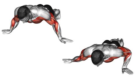 Push Ups How To Muscle Worked Benefit Variations