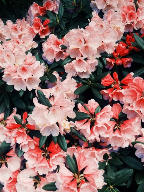 We've gathered more than 5 million images uploaded by our users and sorted them by the most popular ones. May 17, 2014, 2:39 PM | jessicaseptember | VSCO Grid ...