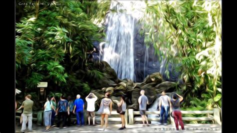 La coca falls is located in the beautiful el yunque rain forest of puerto rico. LA COCA FALLS, El Yunque National Rainforest of Puerto ...
