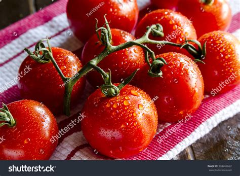 Fresh Organic Campari Tomatoes On Vine Stock Photo 304267622 Shutterstock