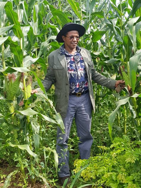 Jakaya kikwete is the current president of tanzania and is known for his policies aimed at uplifting the economic conditions of the country. Picha: Dkt Kikwete azidi kuonyesha mfano sekta ya kilimo ...