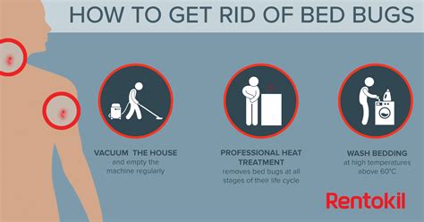 What are some other bugs that look like bed bugs? Bed Bug Bites: What You Need To Know