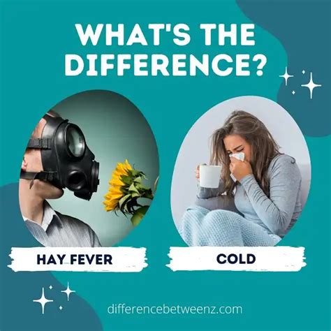 difference between hay fever and cold difference betweenz