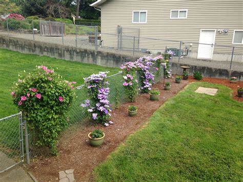 Horse fencing, whether made of vinyl or metal, doesn't provide much privacy. Pin on Outdoor