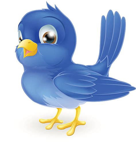 Bluebird Illustrations Royalty Free Vector Graphics And Clip Art Istock