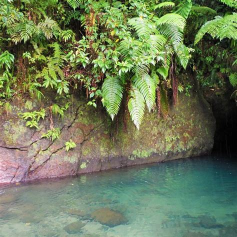 ti kwen glo cho hot springs dominica lo que se debe saber antes de viajar tripadvisor