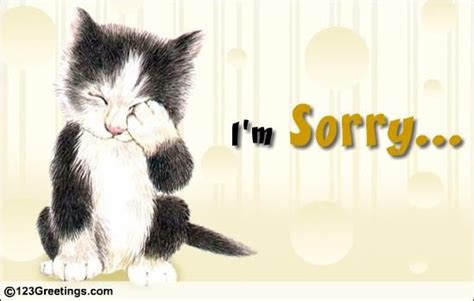 I Am Really Really Sorry Sorry Cards Cats Cat Cards