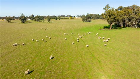 7364 Rural And Farming Properties Sold In Boomanoomana Nsw 2712
