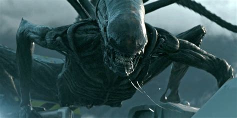 Covenant is a return to form for the franchise after several disappointing chapters. Review: Alien Covenant (2017) - The Horror Syndicate
