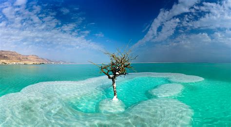 The Dead Sea In Israel 4k Ultra Hd Wallpaper Background Image