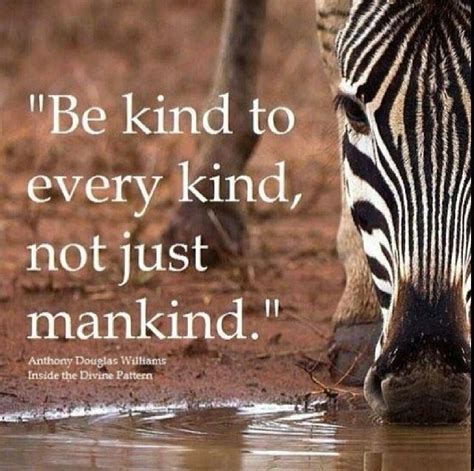 See more ideas about nature quotes, quotes, mother nature quotes. Be kind to all quote. Animal rights | Animal Rights ...