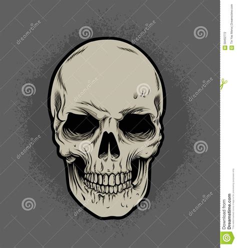 Skull Isolated And Dirty Grung Background Stock Vector - Illustration ...