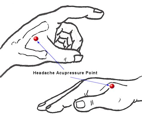 Headache Pressure Point Acupressure Point To Relieve Headaches Puntos De Acupresión Puntos
