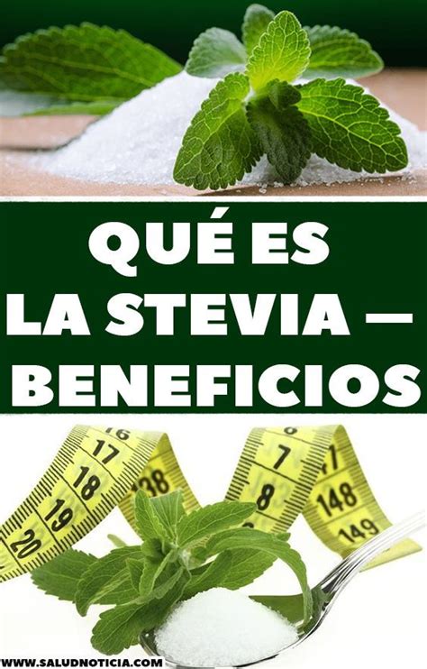 la planta stevia sirve para bajar de peso plantă blog