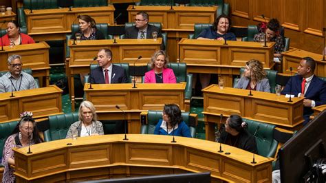 Andrew Barnes Give Mps Just Two Terms To Fulfil Their Potential Nz