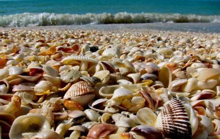 Shell island is not a government run site so the islands campsites are first come first serve, so visit florida, serves as florida's official source for travel planning. Shell Island, Panama City Beach | Ticket Price | Timings ...