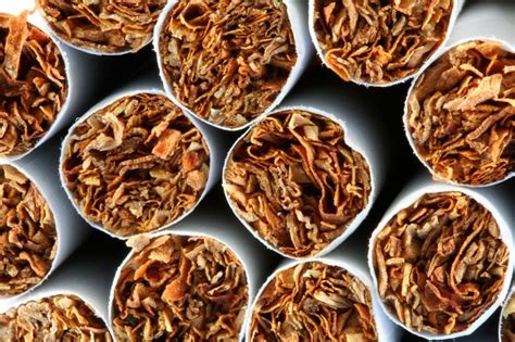 57 352 statement of particulars to be lodged with form 34 pdf word (updated as at 10/4/2017). Tobacco exports surge by 34.93pc during FY 2016-17 ...
