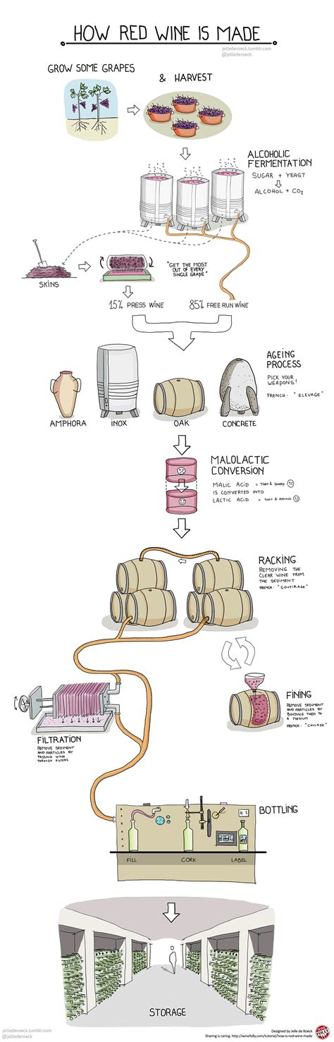 How Is Red Wine Made Infographic By Smart About Wine