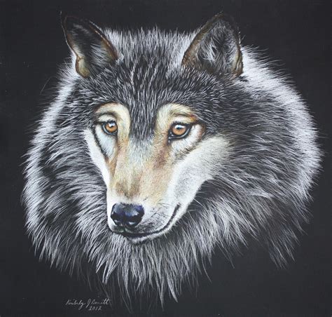 Wolf Colored Pencil Drawing By Me Rart