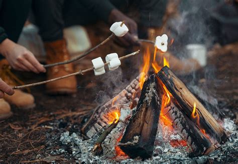 How To Have A Safe Campfire And Leave No Trace Bearfoot Theory