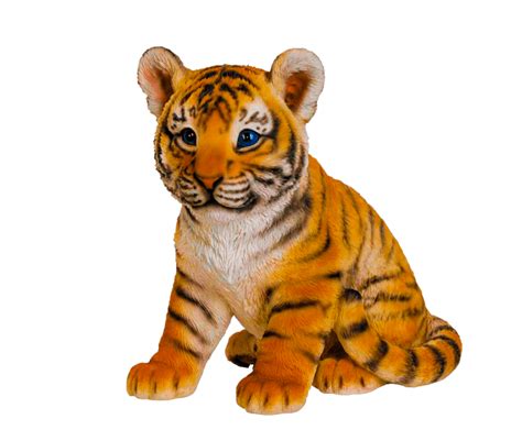 Download High Quality Animal Clipart Realistic Transparent Png Images