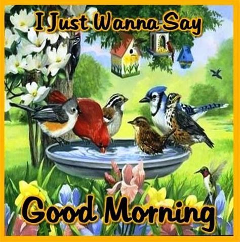 Schön, schöne, wunderschön, hervorragend, gut aussehend. I Just Wanna Say - Good Morning