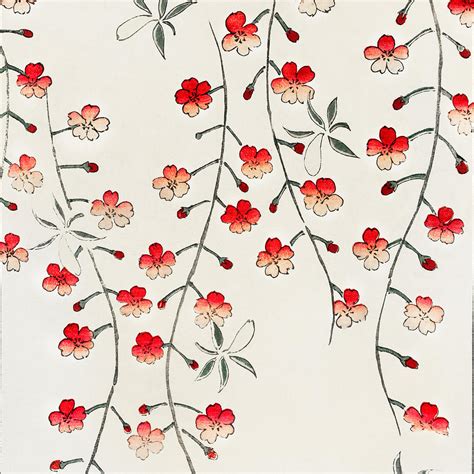 Cherry Blossom Illustration Japanese Art Painting By Watanabe Seitei