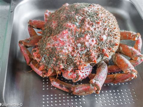 Densité encore une fois Cruche cuisson araignée de mer male Bagarre Je