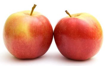 This is a free public screening of the kid from the big apple. Two Apple Stories | Sudbury Valley School
