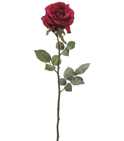 Is your girlfriend or boyfriend a fan of roses. 28'' Margaret Rose Spray Wine | Jo-Ann | Margaret rose ...