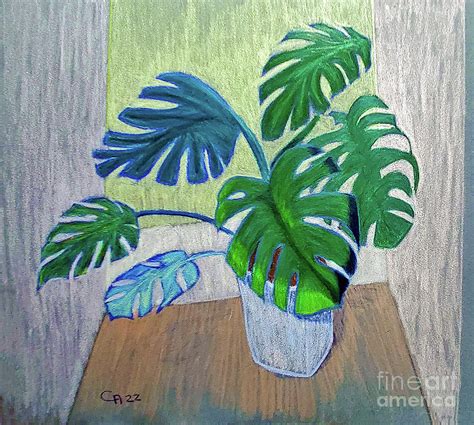 Monstera Painting By Escudra Art Pixels
