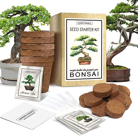 Bonsai Tree Kit Indoor And Outdoor Starter Seed Kit Soil Mix