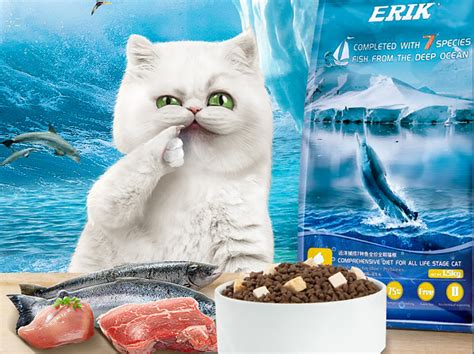 We think that earthborn holistic monterey medley is the best wet cat food for the money because it's fairly priced, is designed for true carnivores, and supports growth spurts as kittens turn into adults. 10 Best Cat Food Brands From Taobao: Wet & Dry Food - Blog ...