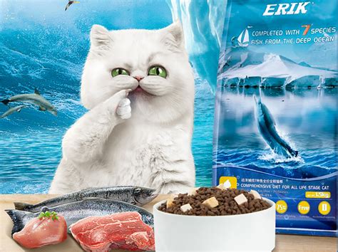 Wet cat food brands list. 10 Best Cat Food Brands From Taobao: Wet & Dry Food - Blog ...